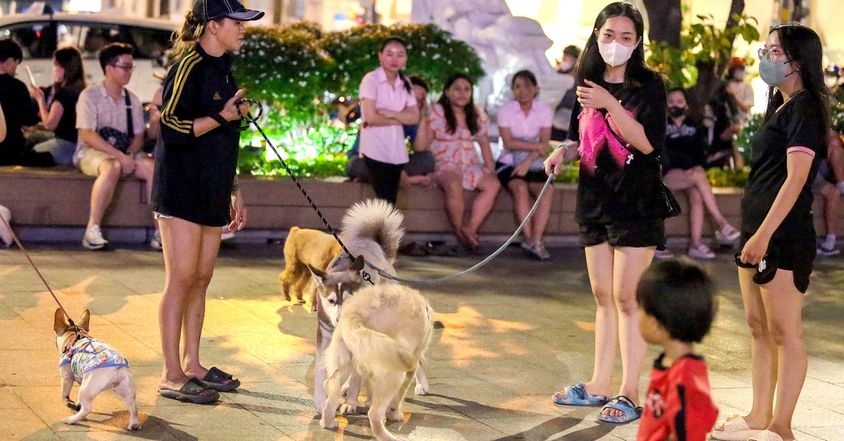 Ngán ngẩm với nạn xả rác bừa bãi ở phố đi bộ Nguyễn Huệ