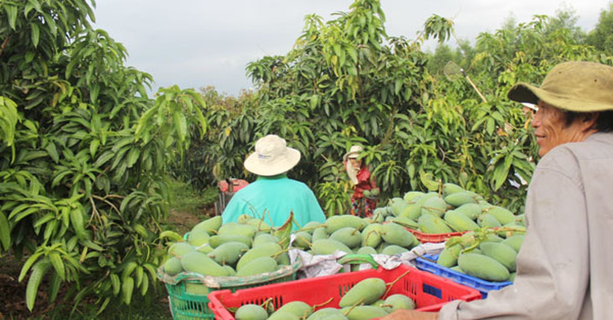 Đồng Nai tích cực triển khai chuyển đổi số trong nông nghiệp