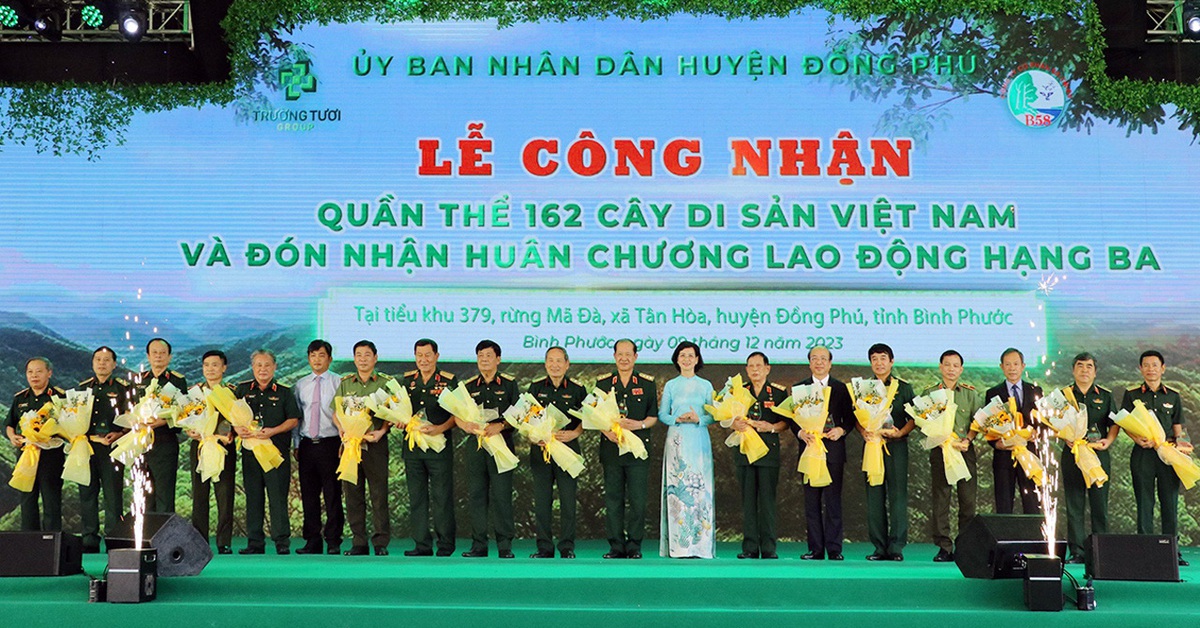 Cây kơ nia cổ thụ 1.230 tuổi trong rừng Mã Đà được công nhận Cây di sản Việt Nam