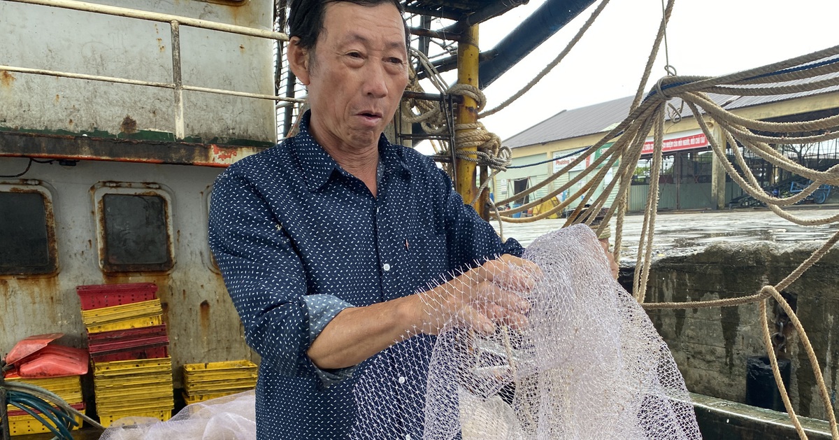 tuoitre.vn
