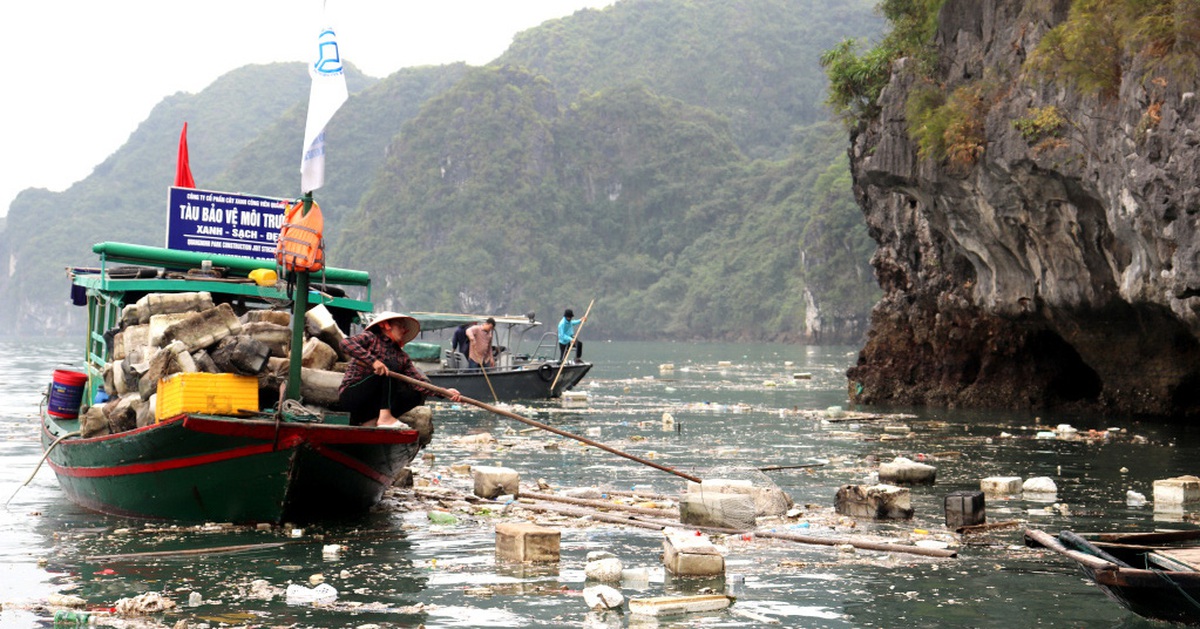 Căng mình dọn phao xốp nổi đầy vịnh Hạ Long