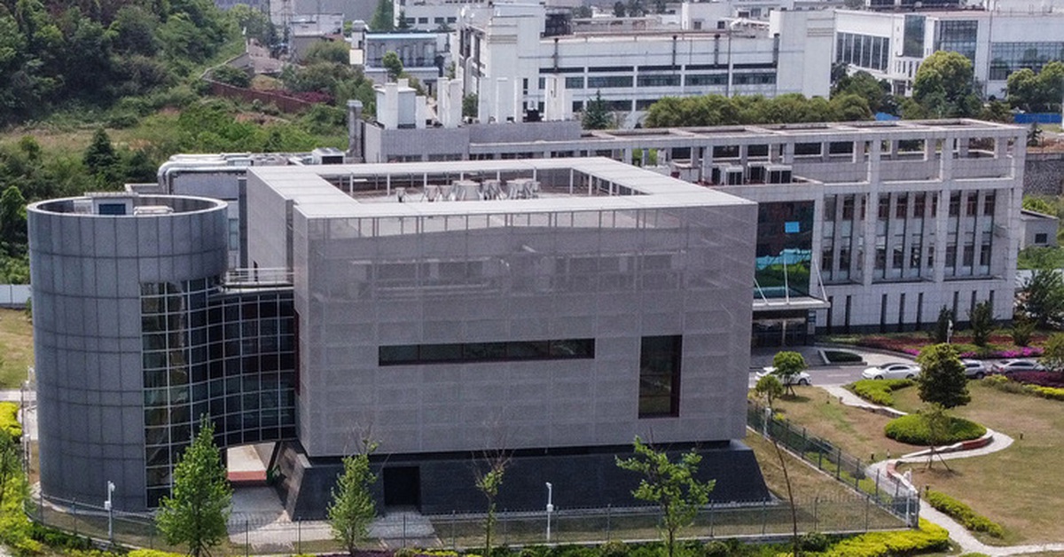 Báo Anh: Các nhà khoa học Vũ Hán tạo ra 'vi rút đột biến' trước dịch COVID-19