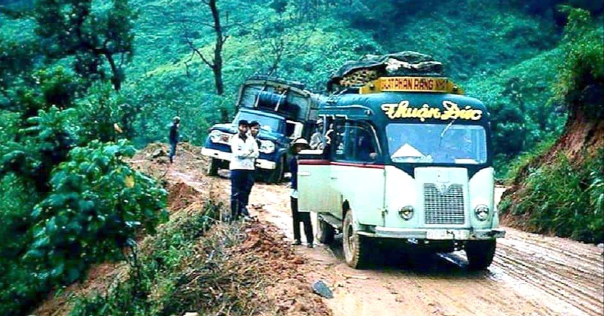 tuoitre.vn