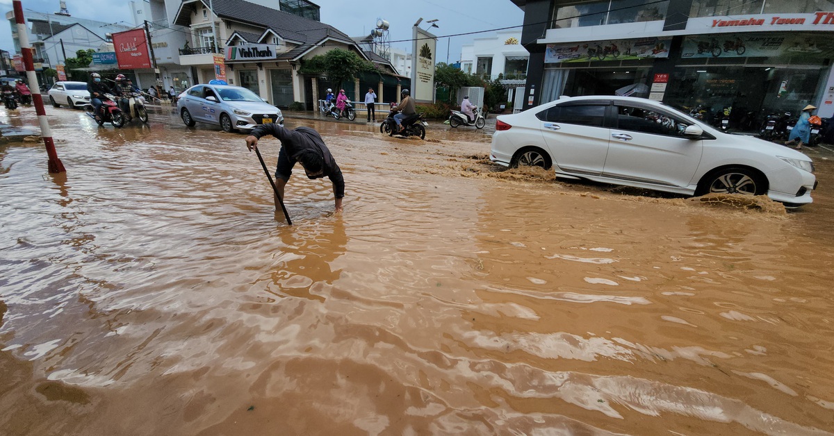 tuoitre.vn