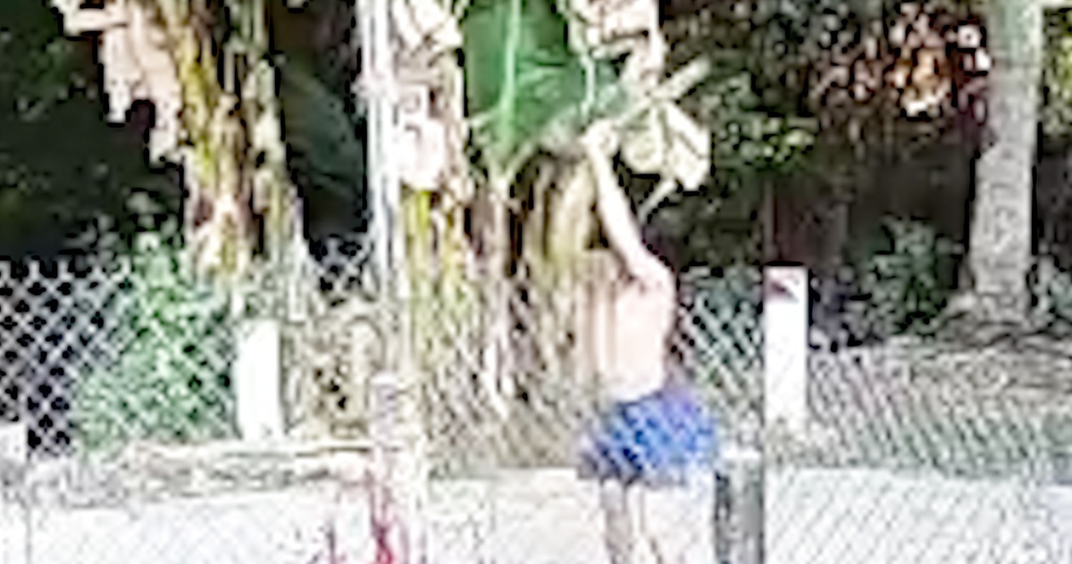 Người đàn ông đánh hàng xóm dã man đến chết, lãnh án chung thân - Tuổi Trẻ Online