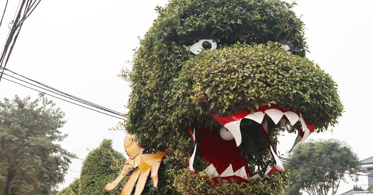 Cây cảnh cắt tỉa hình rồng ở Nghệ An giống… con lươn?