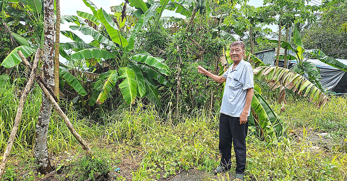 tuoitre.vn