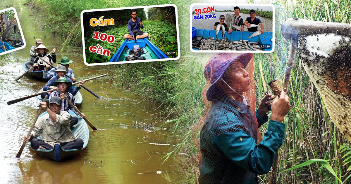 Những người thợ rừng hiện đại ở rừng U Minh