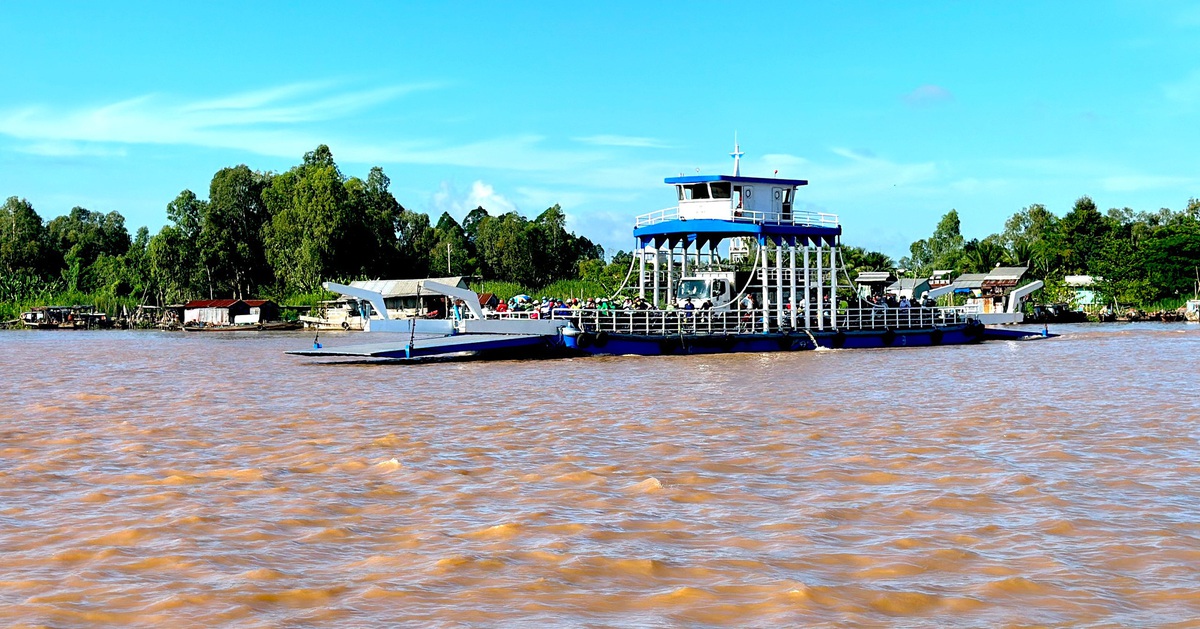 Mực nước đầu nguồn Đồng bằng sông Cửu Long vượt mức báo động I