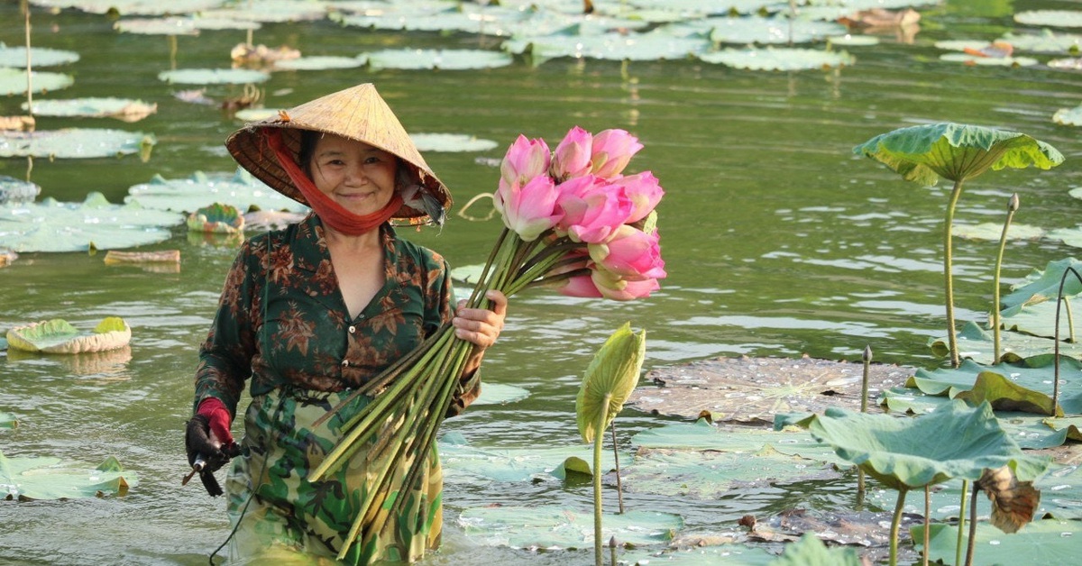 Nghệ An quảng bá du lịch và ẩm thực về sen