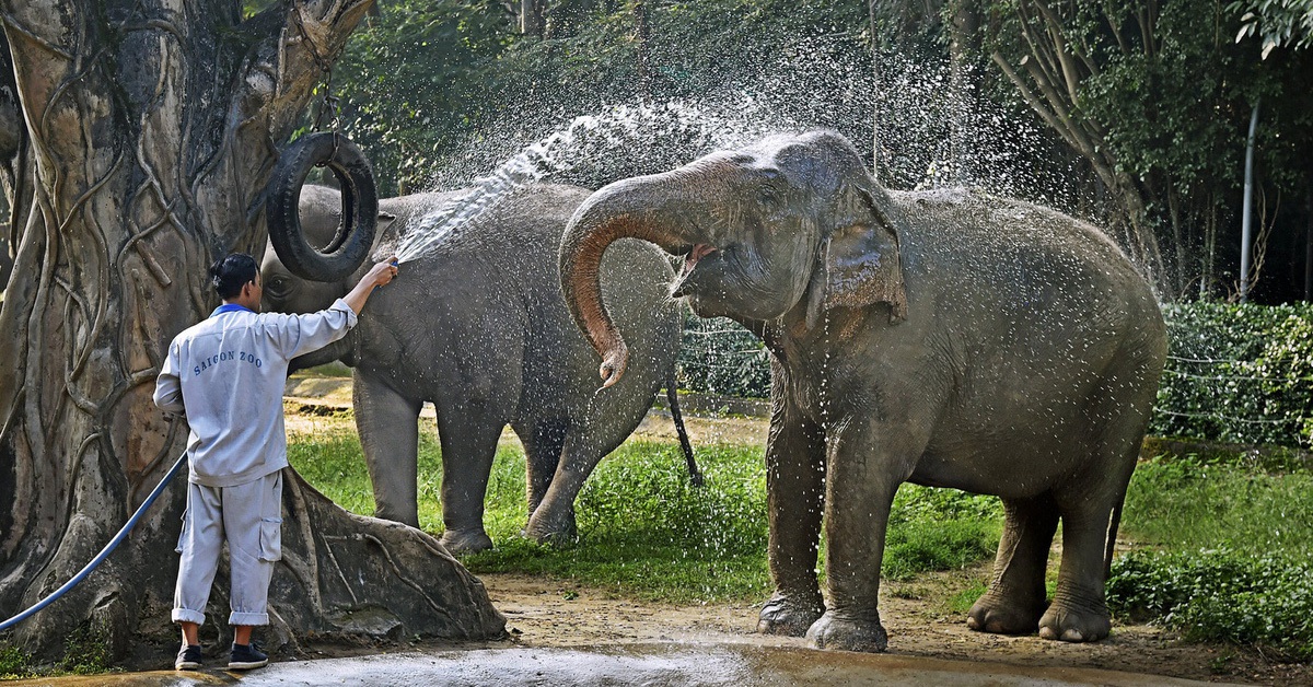 Tài sản vô giá của Thảo cầm viên