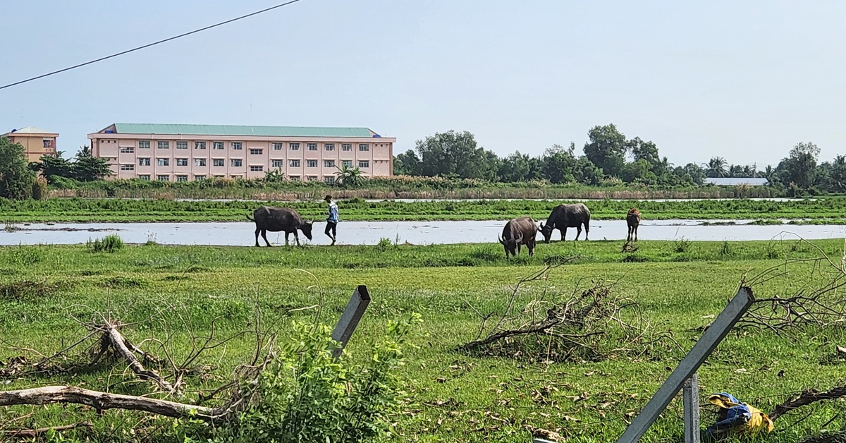 Vì sao trung tâm thương mại huyện ‘quy hoạch treo’ suốt 7 năm? - Tuổi Trẻ Online