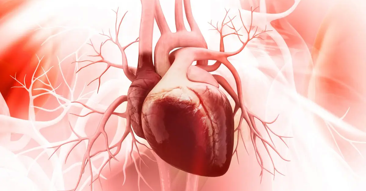 Phát hiện tim người có 'bộ não' riêng