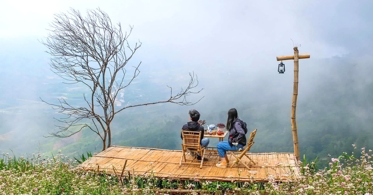 Đừng chọn 'phông bạt hạnh phúc'! - Tuổi Trẻ Online