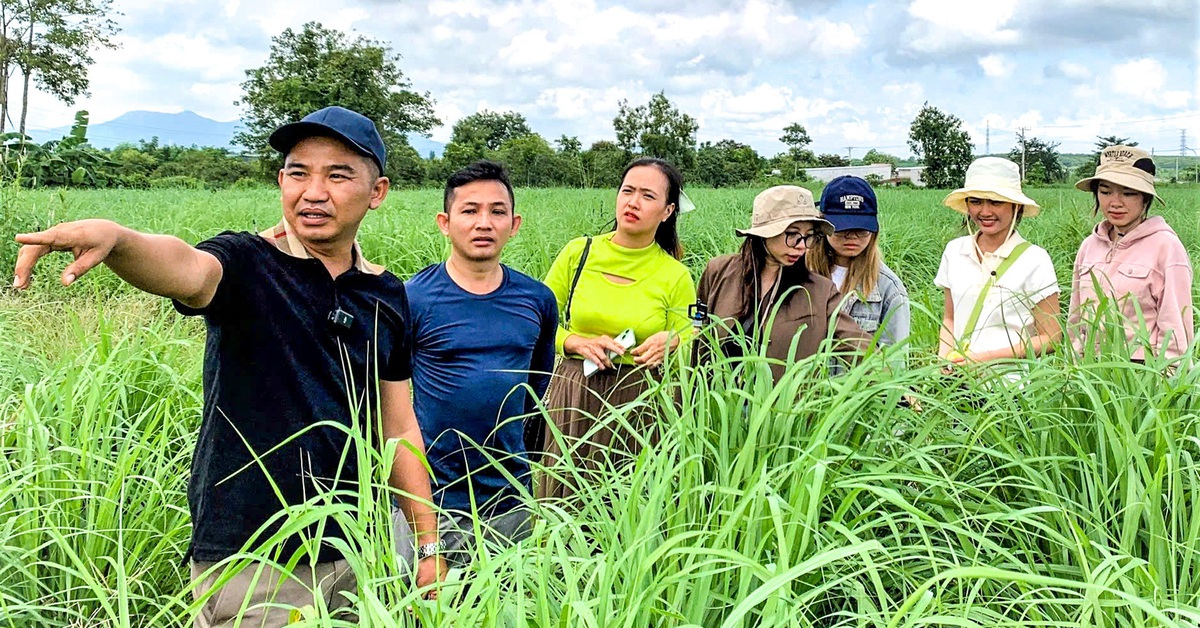 Ngợp sóng hàng ngoại giá rẻ, start up Việt tìm đường xoay xở - Tuổi Trẻ Online