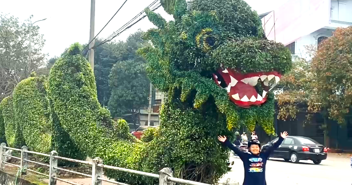 Cây cảnh hình rồng ở Nghệ An đã được chỉnh sửa, trông có thần thái hơn - Tuổi Trẻ Online