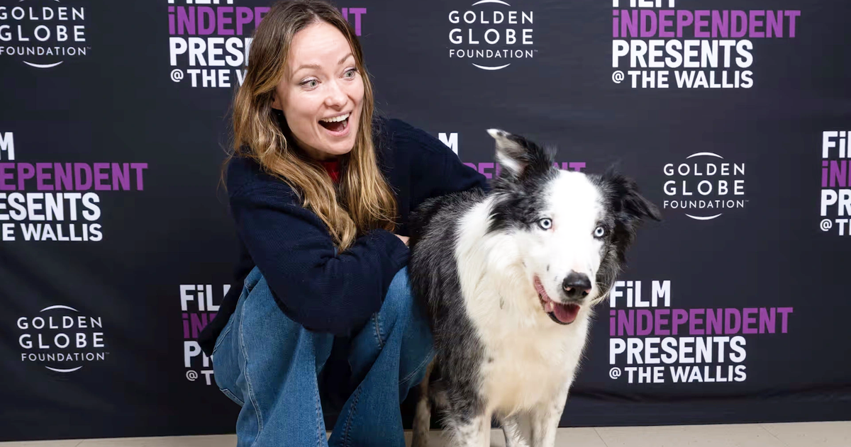 Chú chó Messi bị cấm tham dự Oscar 2024 vì quá dễ thương? - Tuổi Trẻ Online