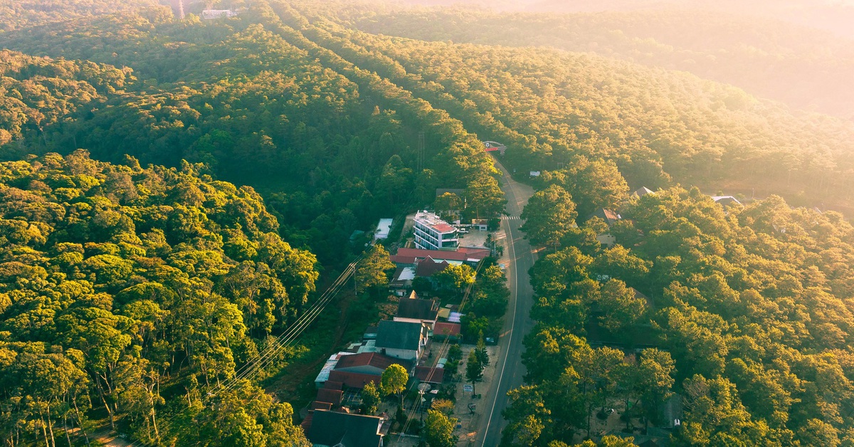1.000 phòng nghỉ, du lịch Măng Đen vẫn có thể quá tải, du khách đừng... chủ quan - Tuổi Trẻ Online