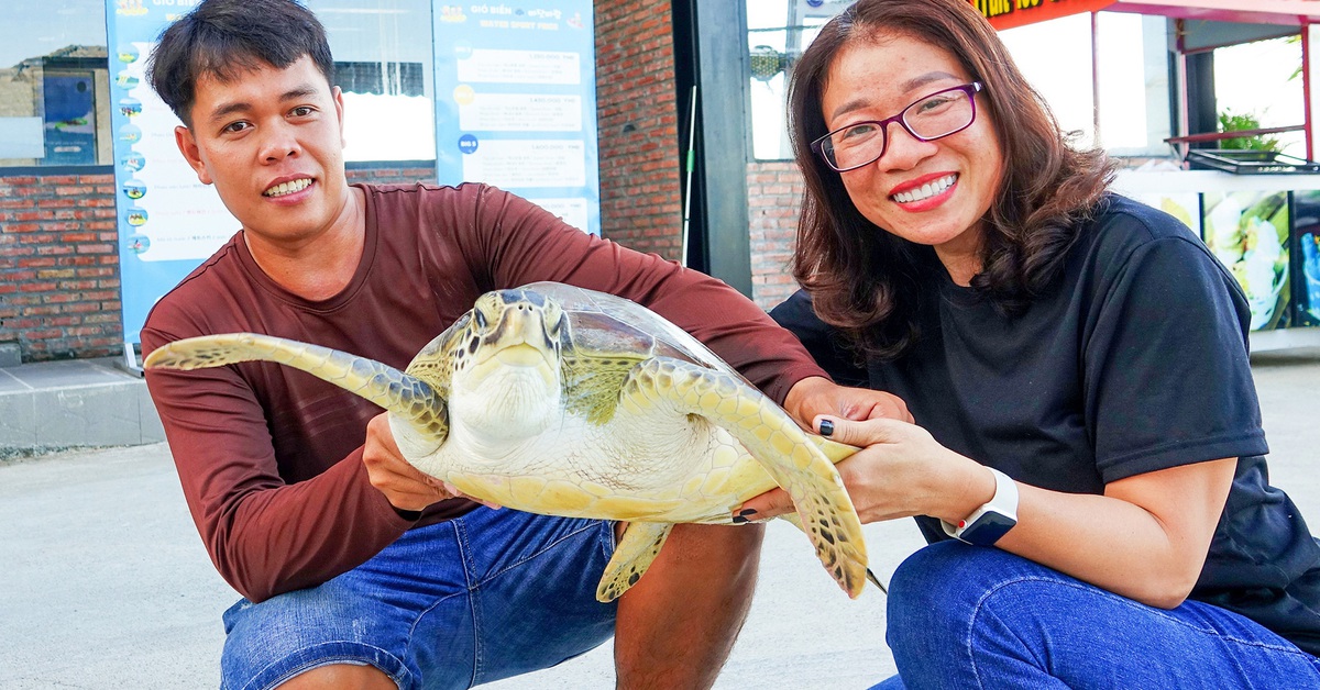 Làng chài Phú Quốc cứu vích biển