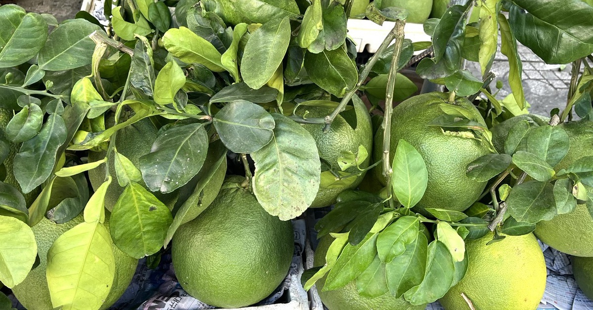 Ăn uống gì để giúp giải độc gan?