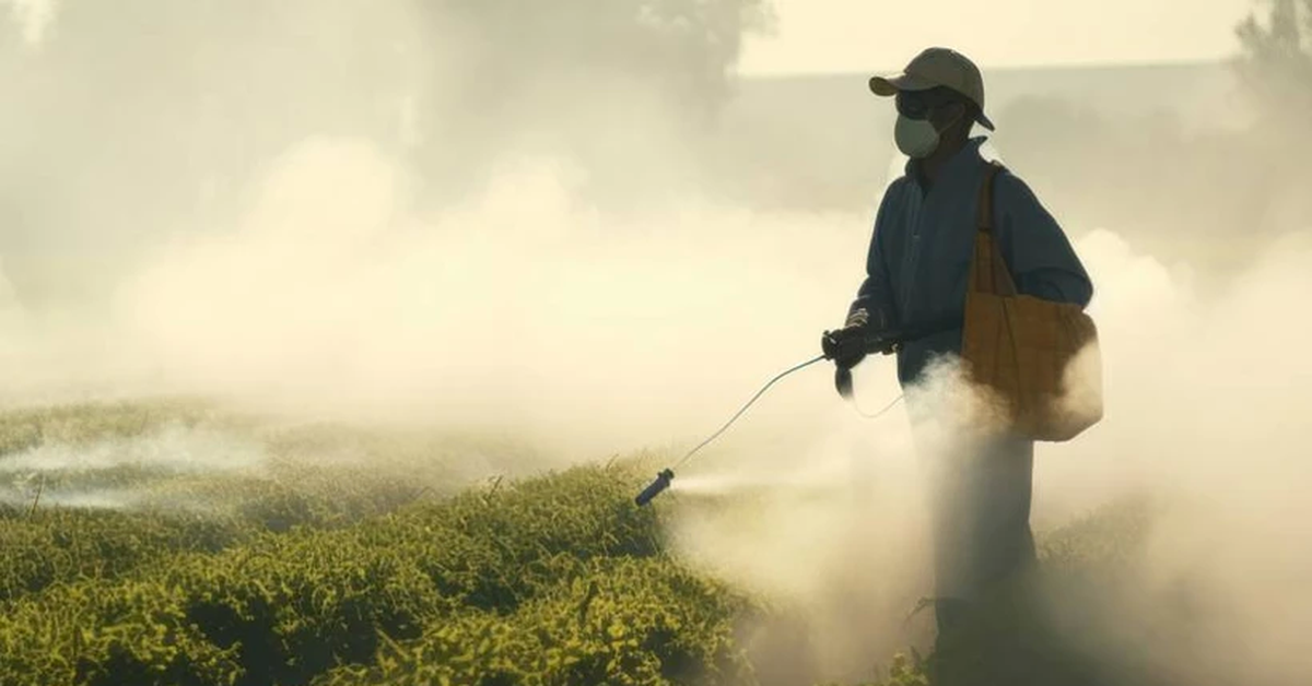 Mỹ ngừng khẩn cấp sử dụng thuốc diệt cỏ DCPA