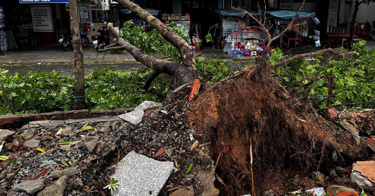 Bộ Giáo dục lưu ý 17 tỉnh, thành cân nhắc cho nghỉ học tránh bão số 4