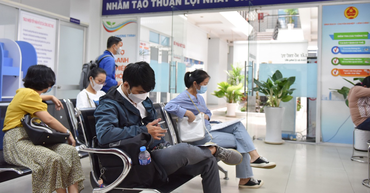 Nóng: UBND TP.HCM cho tạm áp dụng bảng giá đất hiện hành để tính thuế