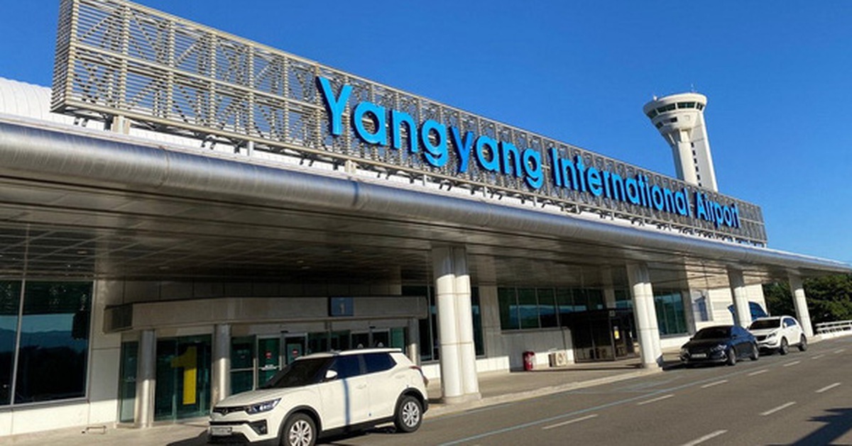 Vụ 100 du khách trốn lại Hàn Quốc: Sau 2 năm vẫn chưa thể xử lý dứt điểm - Tuổi Trẻ Online