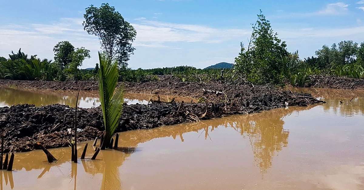 Chiếm hơn 10ha đất đầm Đông Hồ bị phạt 500 triệu đồng