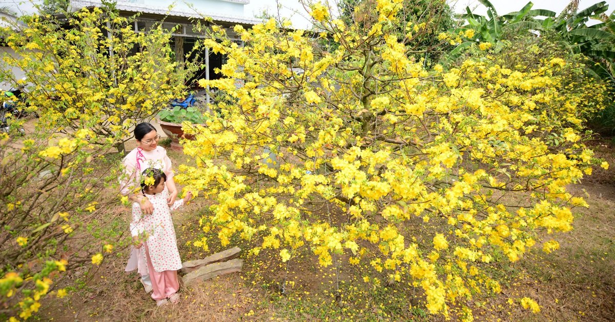 Về quê ngày Tết, nhớ bữa cơm đậm đà tình thương của nội - Tuổi Trẻ Online