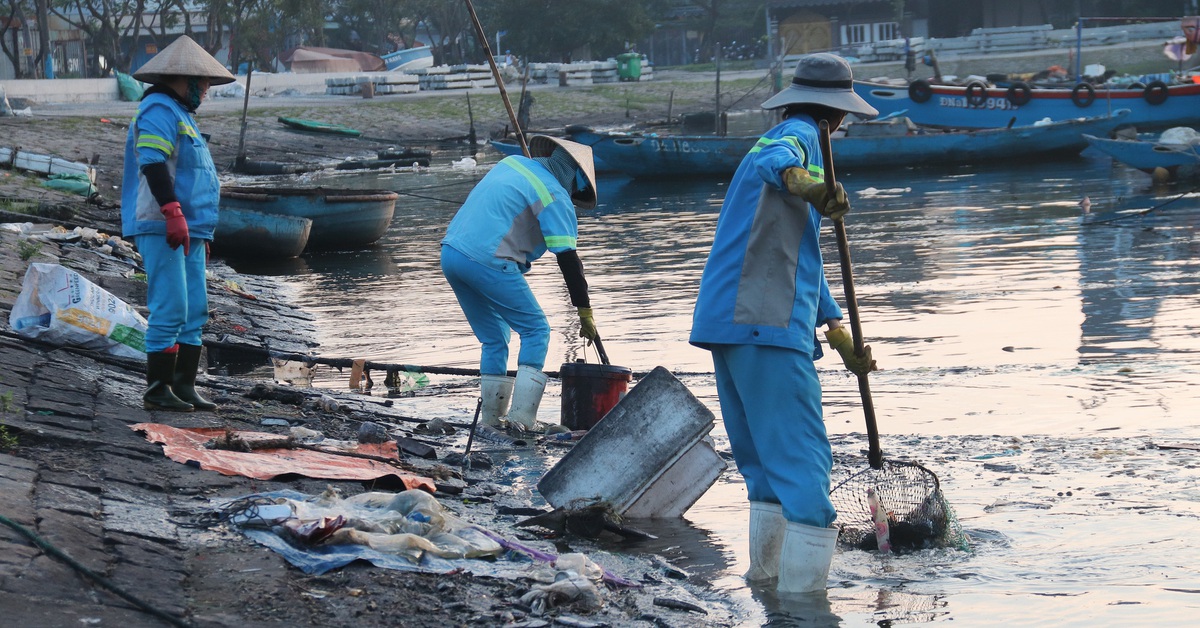 Rác thải bủa vây âu thuyền, cảng cá Đà Nẵng
