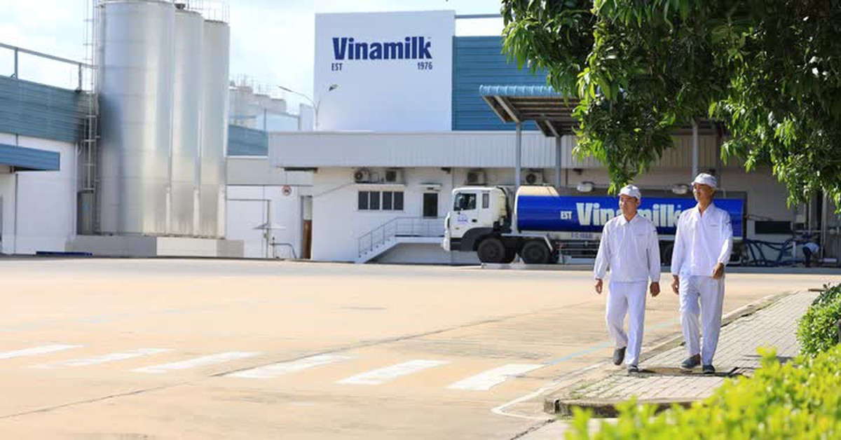 'Mưa' cổ tức tiền mặt: Một ông lớn chi tỉ lệ 'sốc' 480%, Vinamilk cũng trả gần 6.000 tỉ