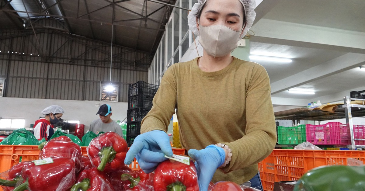 Lâm Đồng trước cơ hội dẫn dắt vùng Nam Trung Bộ - Tây Nguyên