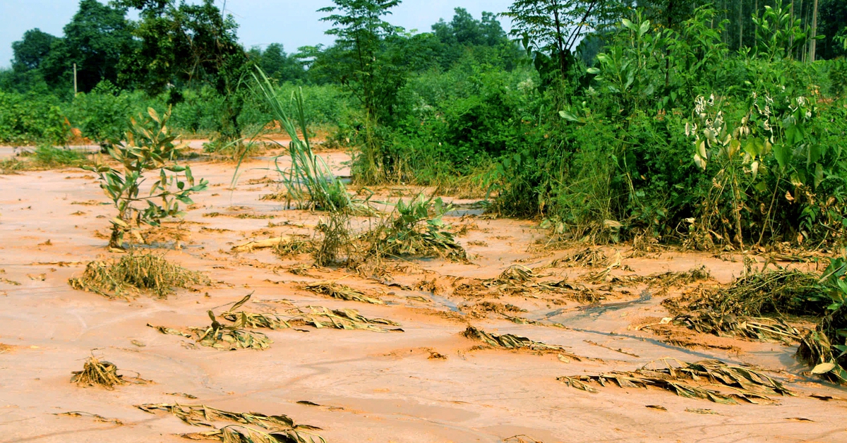 Gia cố bờ bao hồ chứa bùn thải bị vỡ ở nhà máy luyện gang thép Thái Nguyên