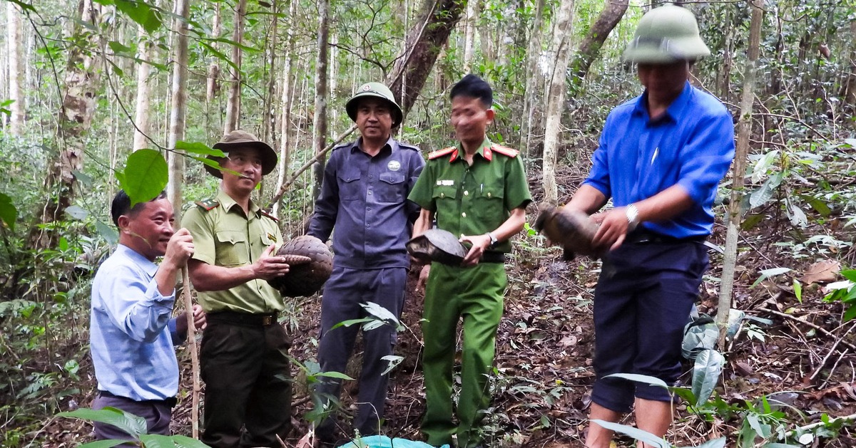 Tê tê java, rùa núi viền trong sách đỏ được thả về Vườn quốc gia Kon Ka Kinh