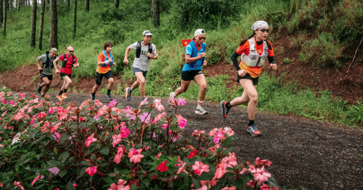 Gần 1.000 VĐV tham gia Vietnam Highlands Trail 2025 tại Lâm Đồng