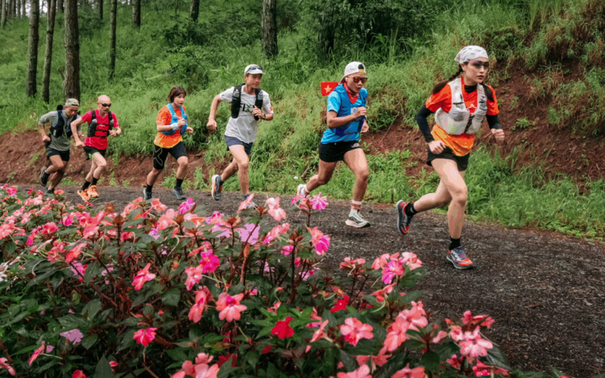 Gần 1.000 VĐV tham gia Vietnam Highlands Trail 2025 tại Lâm Đồng