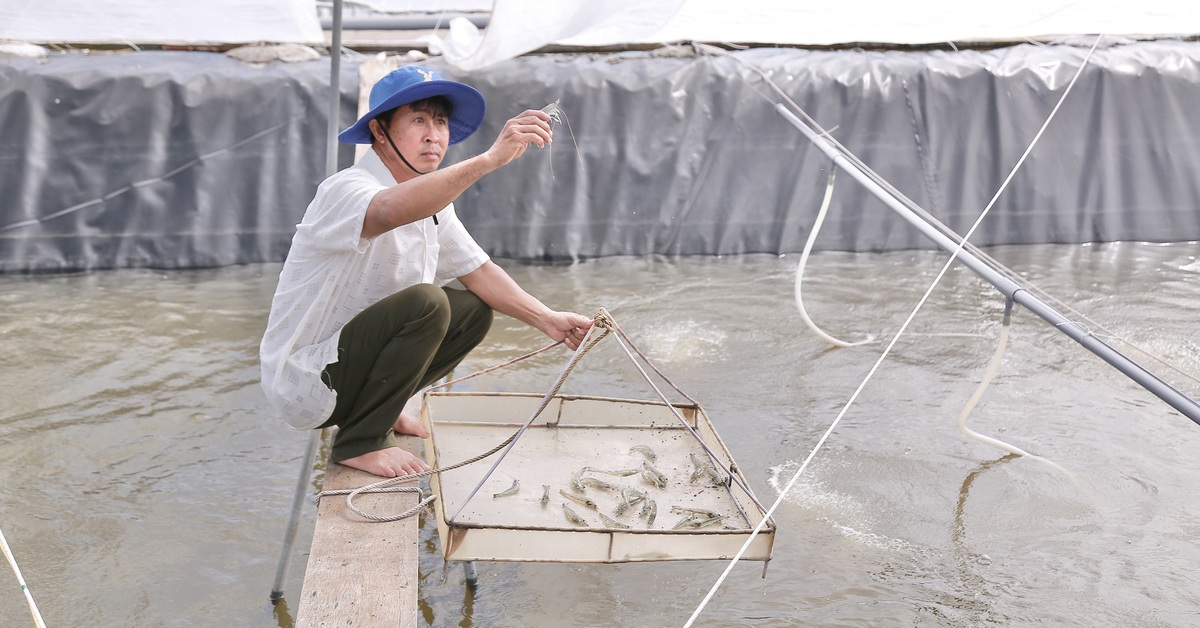 Một bộ phận nông dân bứt phá, doanh thu hằng năm trên 100 tỉ đồng