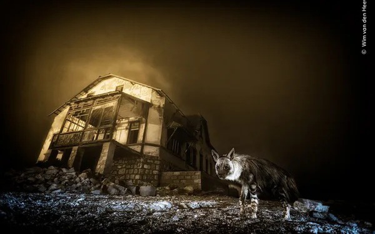 Khoảnh khắc hoang dã lay động thế giới: Những bức ảnh thiên nhiên xuất sắc nhất 2025