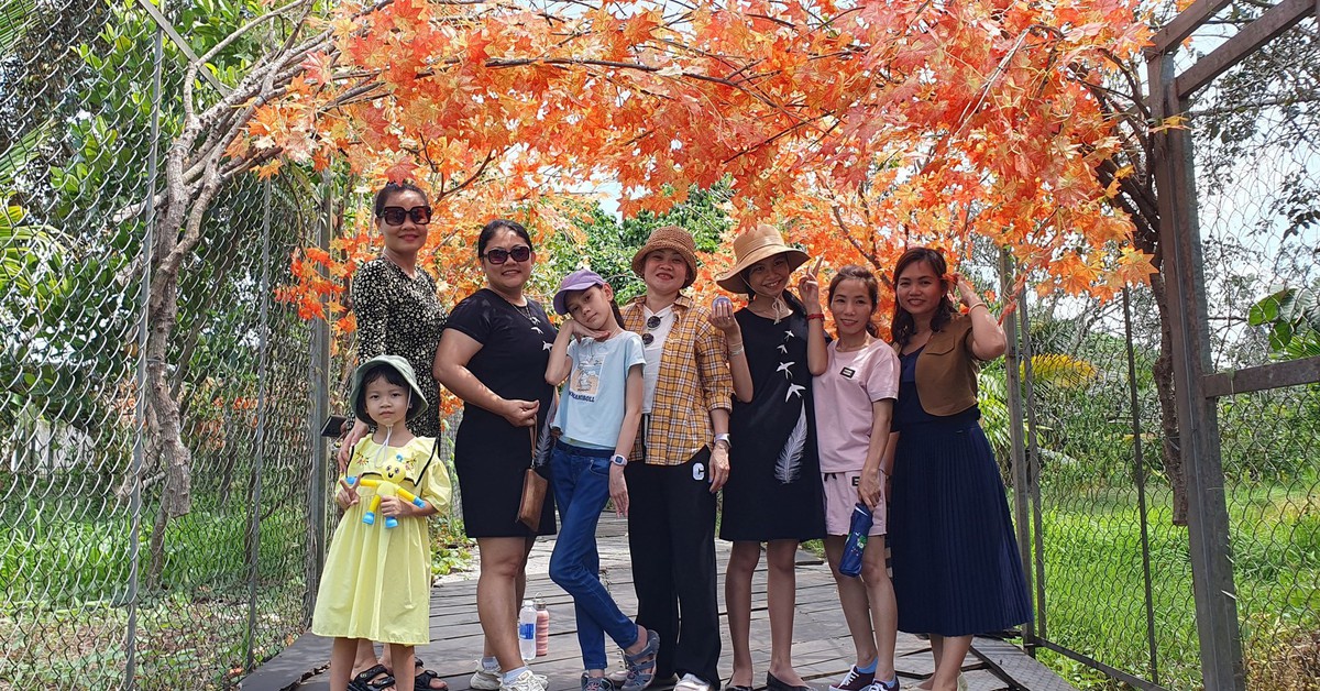 Bình quân du khách đến Cần Thơ xài gần 860.000 đồng