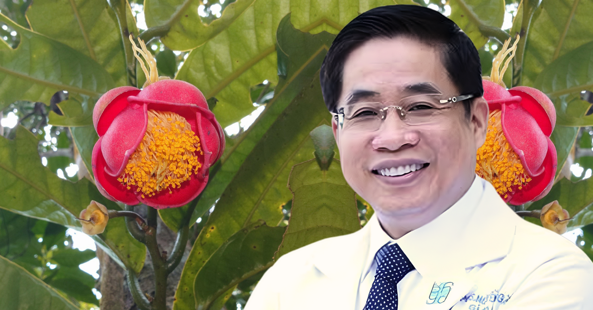 Hoa trà my mới vinh danh bác sĩ Nguyễn Hoàng Bắc