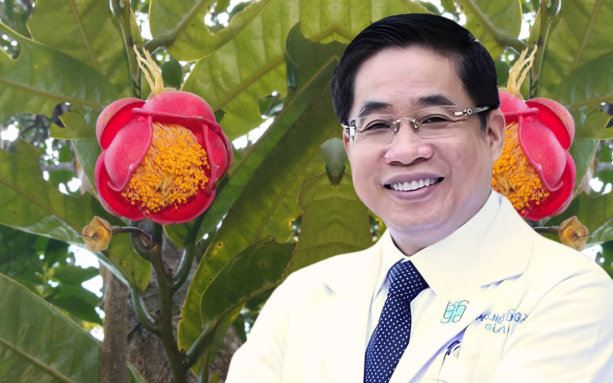 Hoa trà my mới vinh danh bác sĩ Nguyễn Hoàng Bắc