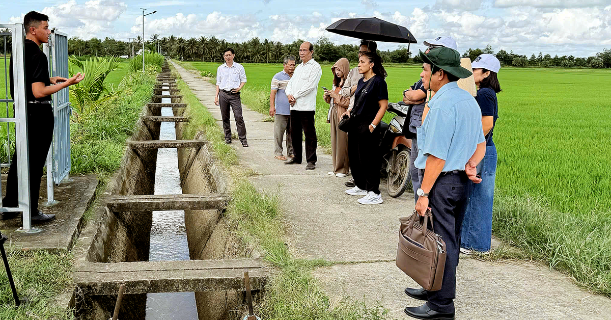 Quốc tế đánh giá Việt Nam đủ khả năng giúp nhiều nước tăng năng suất trong nông nghiệp