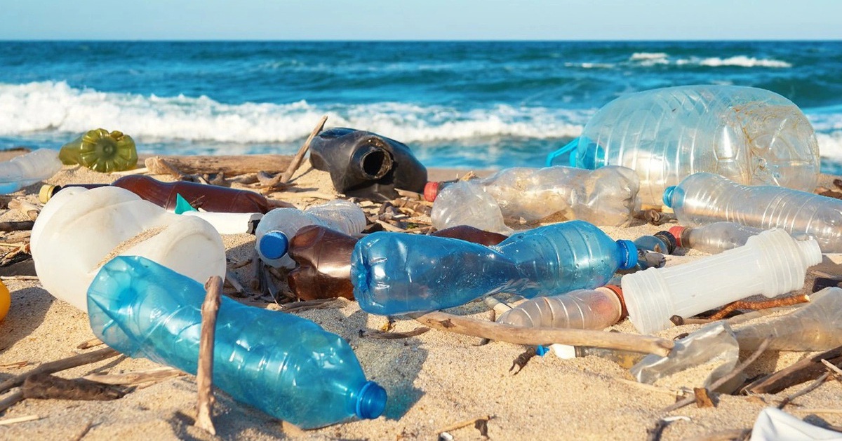 Góp ý văn kiện Đại hội Đảng XIV: Cả hệ thống chính trị và toàn dân cùng bảo vệ môi trường