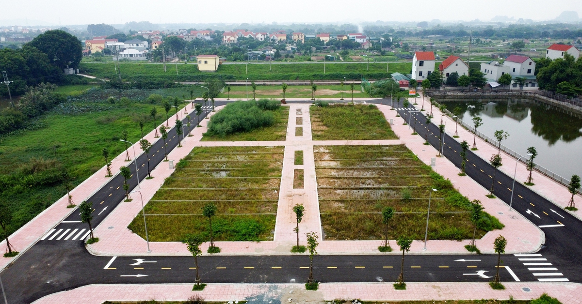 Trúng đấu giá nhưng bỏ cọc, không nộp tiền đất, bị cấm tham gia đấu giá đất đến 5 năm