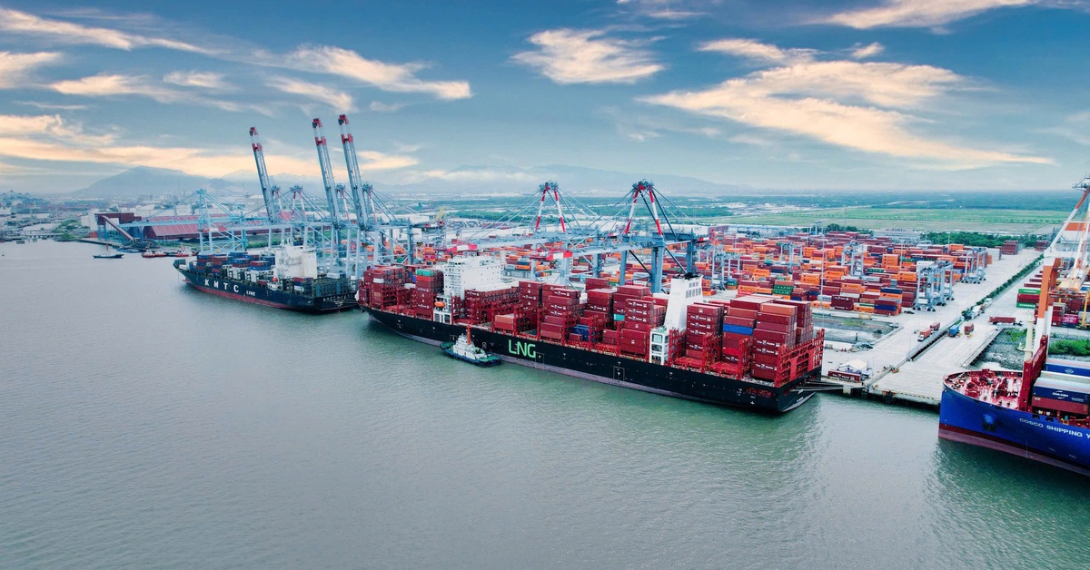 TP.HCM quy hoạch 4 khu thương mại tự do, nên ưu tiên khu nào?