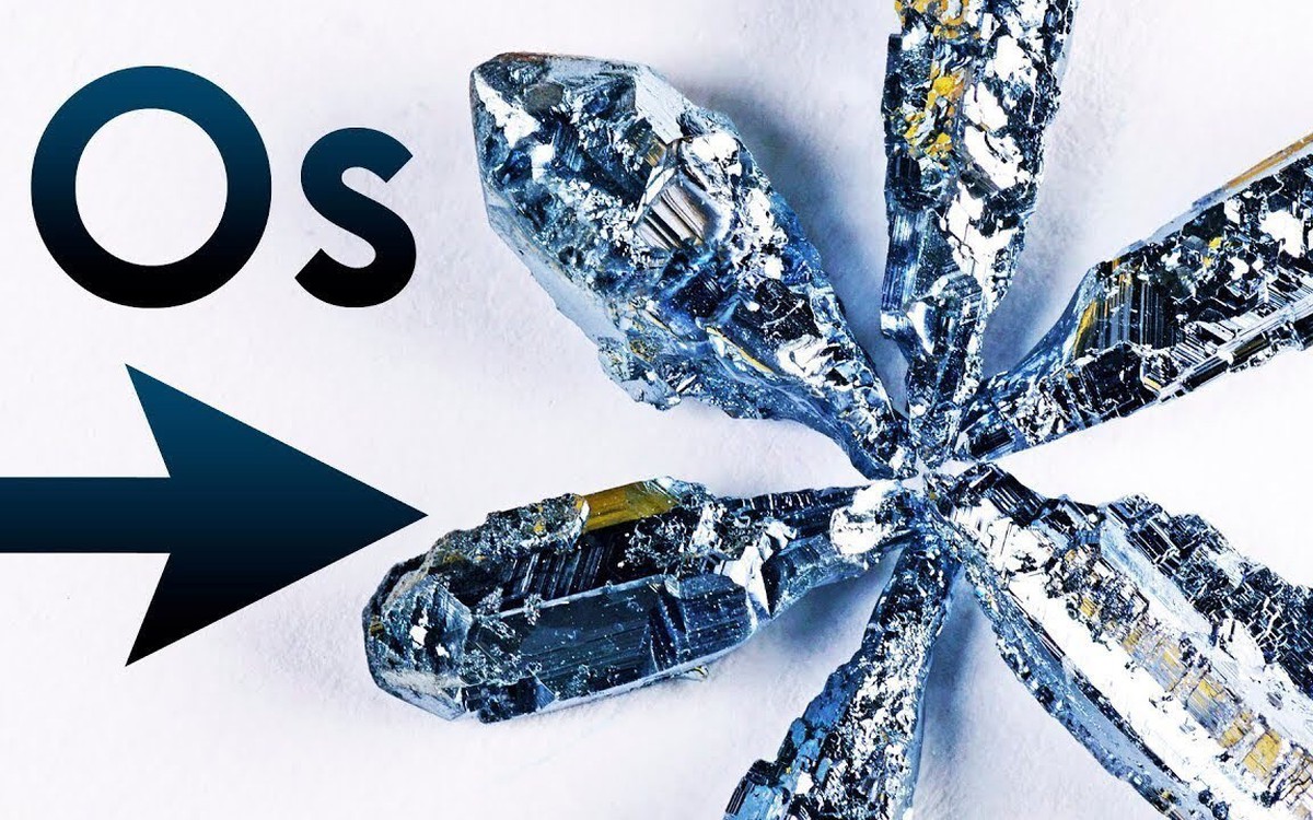 Phát hiện bất ngờ: Độc chất chì có thể đã góp phần tạo nên bộ não thông minh của loài người