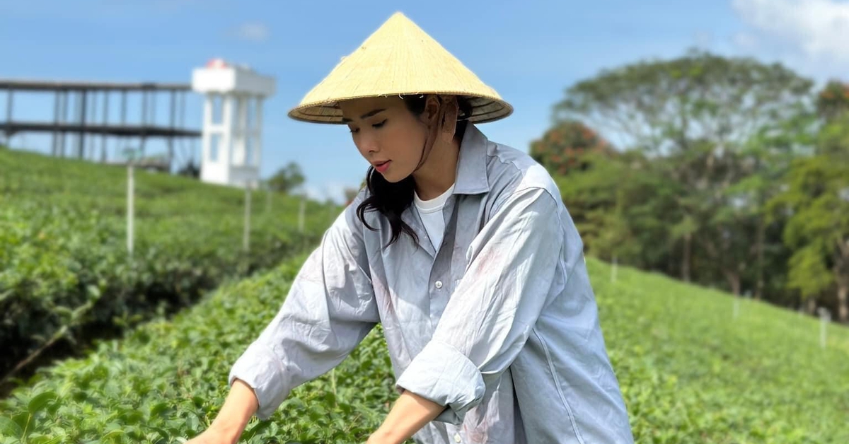 Đà Lạt hữu tình, bí ẩn hiện diện trong Góc khuất