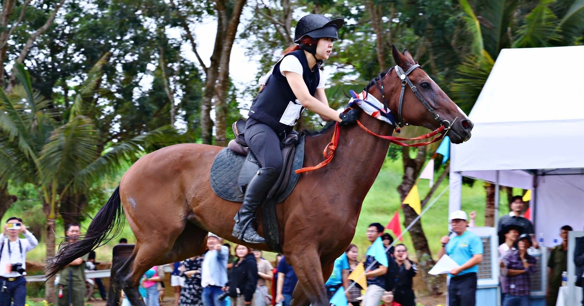 Đề xuất tăng mức cá cược bóng đá quốc tế, đua ngựa, đua chó lên 100 triệu đồng/ngày