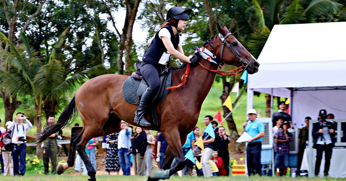 Đề xuất tăng mức cá cược bóng đá quốc tế, đua ngựa, đua chó lên 100 triệu đồng/ngày